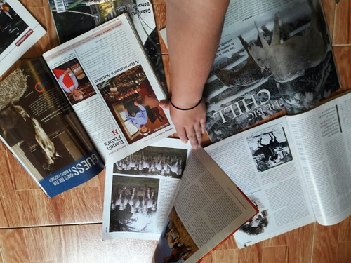 Lote De 10 Revistas De Caballos