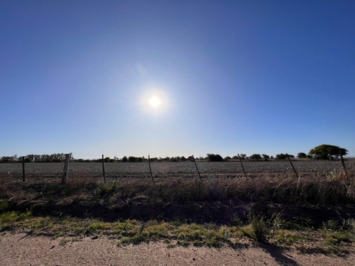 Imagen 9 de 13 de Campo Agricola En Venta , Zona Camino Capilla De Los Remedios Y Ruta 9 Sur , Cordoba , Argentina