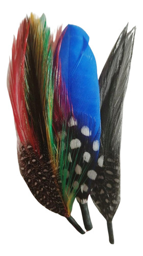 Plumas Para Sombrero Coquena, Azul Y Negra Set 3 Piezas 