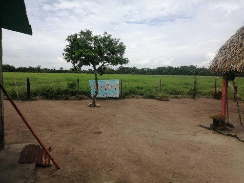 Imagen 9 de 17 de De Oportunidad Vendo Finca En El Cantón 283 Hectáreas Ah