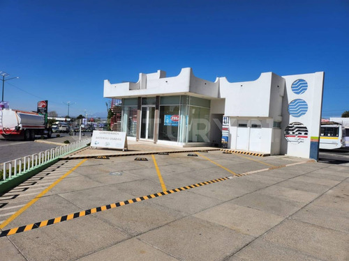 Atención Inversionistas!!!! Venta De Edificio, Terreno Y Cafetería
