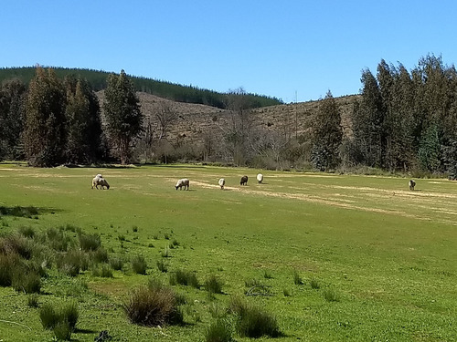 Gran Parcela Con Casa De Cuidador