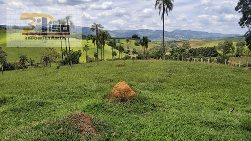 Imagem 15 de 15 de Sítio Em Centro - Ouro Fino - 1460