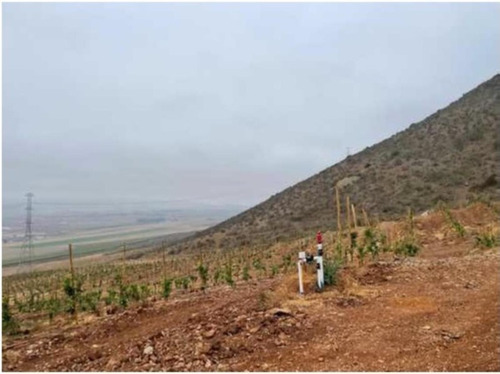 Terreno Agricola Ganadero 1.368 Has, Pan De Azúcar, Coquimbo