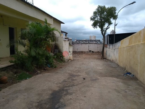 Imagem 13 de 14 de Terreno Comercial Com Renda - Consulte !!! - Ta5361