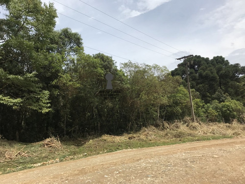 Chácara A Venda No Bairro Centro Em Bocaiúva Do Sul - Pr. - 486-1