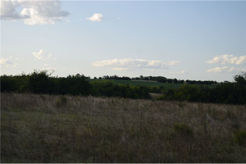Campo - Venta- Tarariras, Colonia