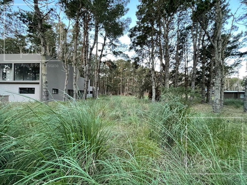 Imagen 4 de 6 de Lote En Venta Costa Esmeralda Arbolado Y Fondo Libre Único