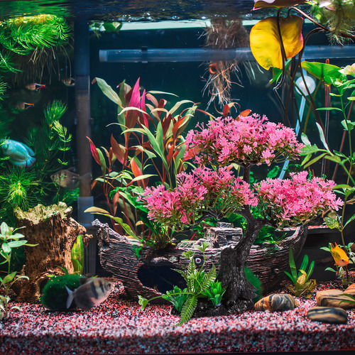 1 Juego De Decoraciones Para Acuarios, Plantas Y Peceras