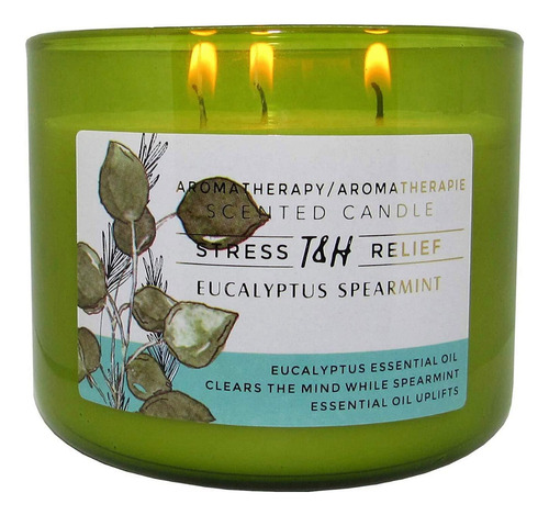 Vela De Aromaterapia De Eucalipto De Menta De 3 Mechas | Vel
