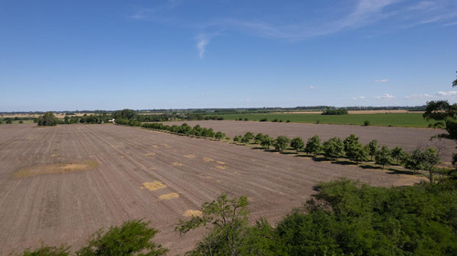 Campo En Venta 25ha En San Andres De Giles