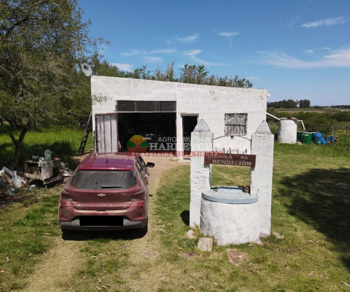 Imagen 7 de 15 de Chacra Los Cerrillos, Casa Pronta Para Vivir