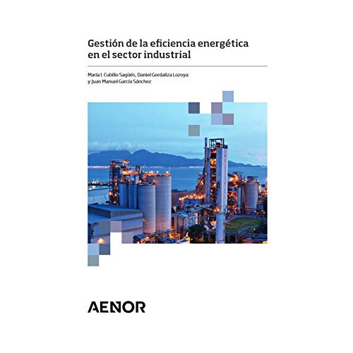 Libro Gestión De La Eficiencia Energética En El Sector Indus