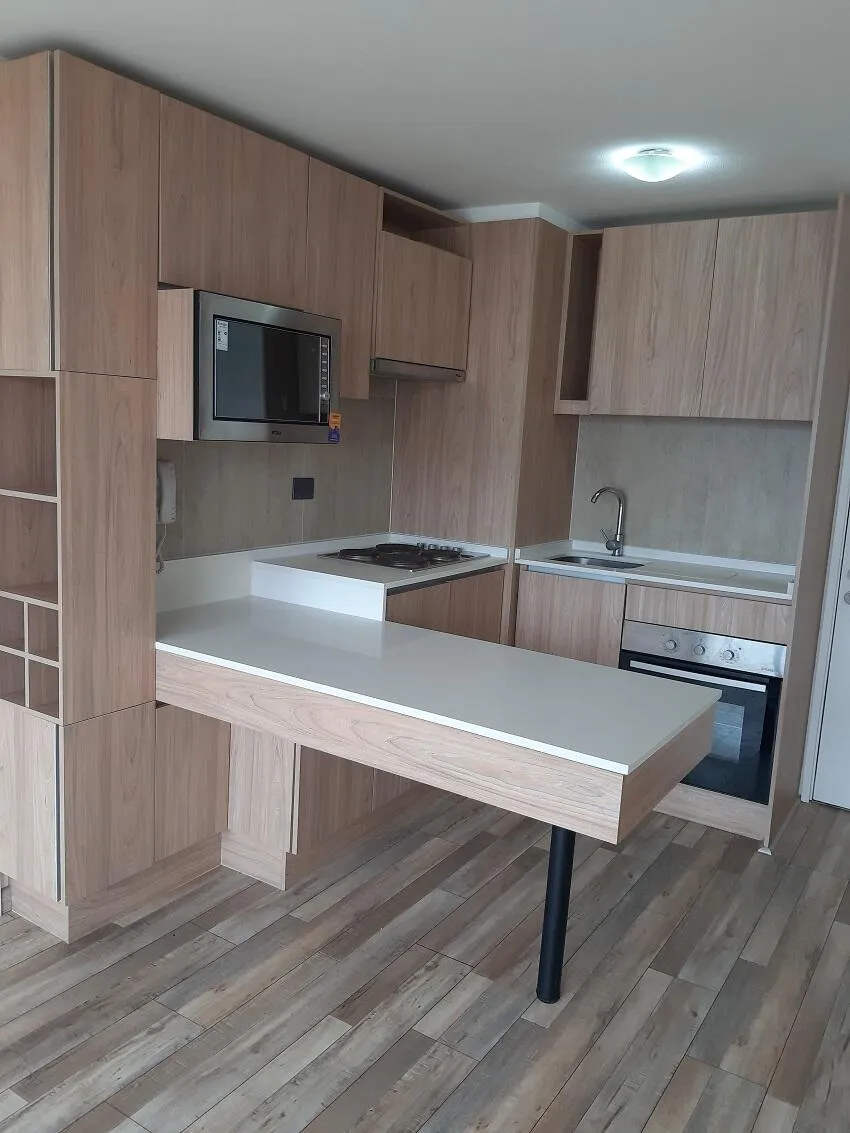 Imagen 5 de 26 de Arriendo Juan De Pineda/walker Martinez Excelente Ubicación