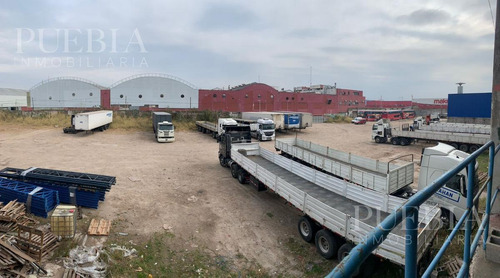 Imagen 5 de 30 de Depósito En Alquiler - Avellaneda