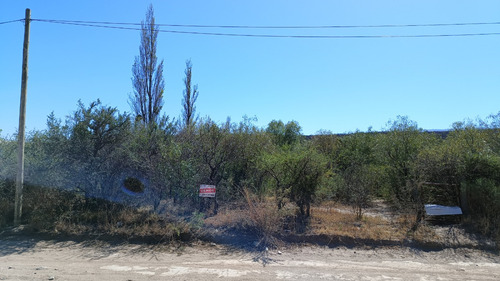 Terreno De 2500m2 (1/4 Ha) En Nogolí, San Luis, Con Luz Y Agua