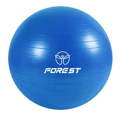 Pelota Yoga Ball Forest Fitness Esferodinamia 65 Cm Gym Color Azul