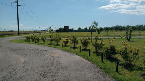 Terrenos En Haras De Funes