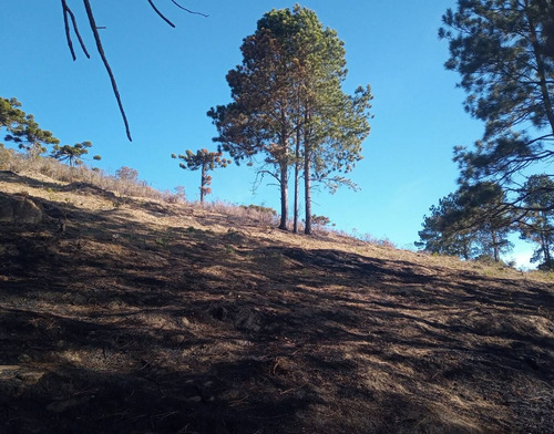Imagem 6 de 11 de Terreno Com Vista Deslumbrante! - 34