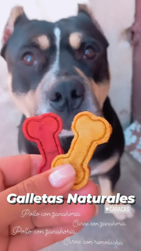 Galletas De Carne Para Perros Y De Zardina Para Gatos 