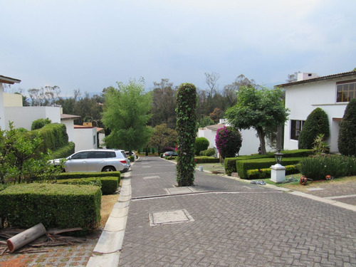 Casa En Condominio En Venta En Olivar De Los Padres