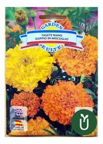 Comprar Semillas Flores - Clavel - Envíos