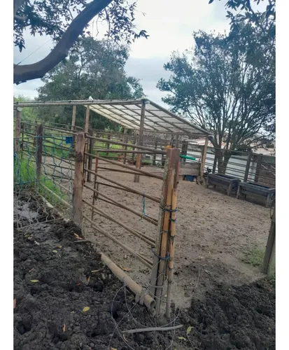 Venta Finca Montenegro Sector Vereda Pueblo Rico - 11 Cuadras