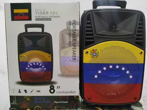 Corneta Tiger 12+ Bluetooth Radio Microsd Pendrive Auxiliar