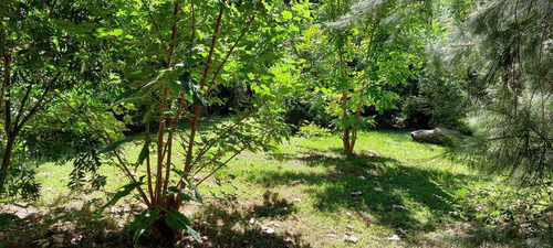 Imagen 4 de 17 de Terreno - Carapachay