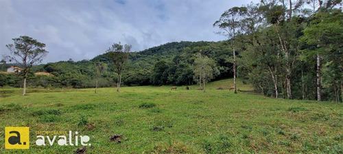 Excelente Sítio Localizado Em Gaspar. Você Precisa Conhecer !!! - 6002872v