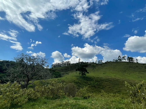 Imagem 3 de 11 de R82 Lotes De 1000m² Agende Seu Visita