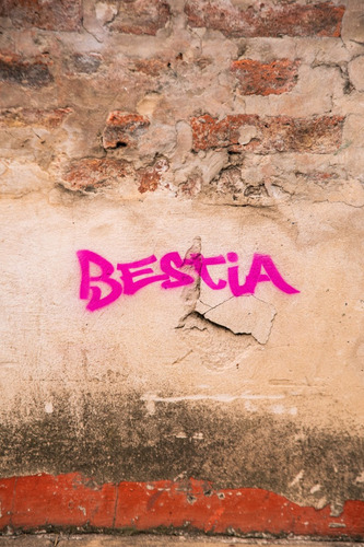 Lata Bestia Aerosol Pintura Mate Prof Baja Presion X10 Amarillo