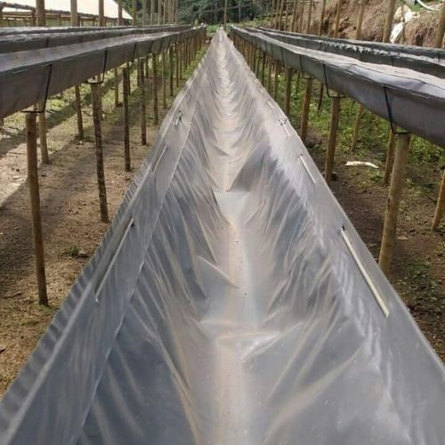 3 Calha Cultivo Morango Suspenso Com 102x0,45 Mts 200 Micras