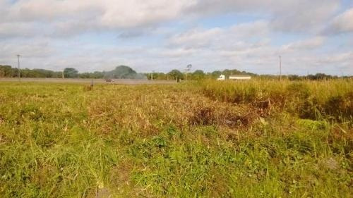 Imagem 6 de 9 de Vendo Terreno De Frente Para A Rodovia | Itanhaém - 6248 Npc