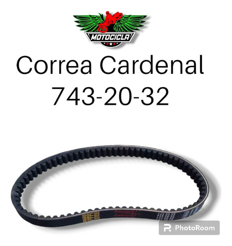 Correa Cardenal 743-20-32