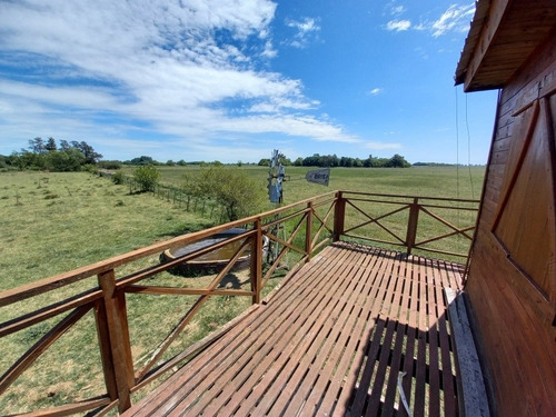 Imagen 23 de 23 de Lote 36000m2 Molino..plantas Pecan Durazno
