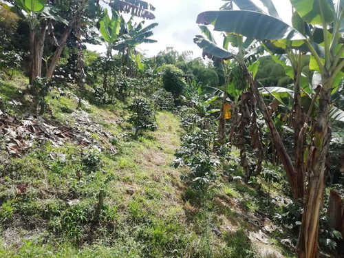 Imagen 22 de 30 de Vendo Finca En Avenida Condina Precio De Oportunidad