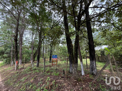 Venta Terreno 0 Ambiente Chijiltec (san Isidro)