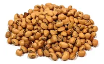 Comprar Feijão De Corda 1 Kg + 10 Outros Tipos De Sementes De Brinde