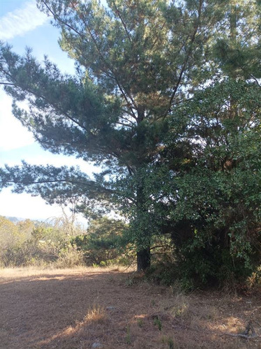 Agrícola En Venta En Navidad