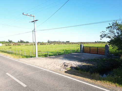 Casa 3dorm + Parcela 5.000 Mts2 A 10 Mins De San Carlos