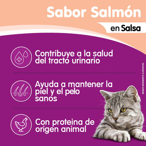 Whiskas Alimento Húmedo Sobrecito Gato Salmón Salsa 12 Un