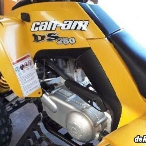 Can Am 250cc Ds