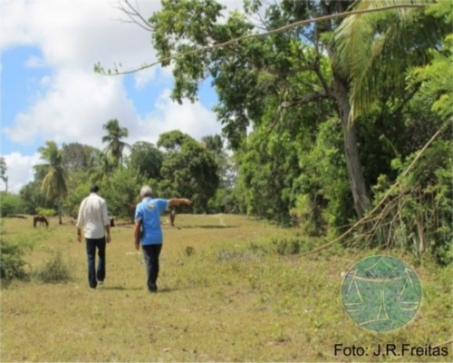 Imagem 2 de 9 de 3.8 Hectares Em Zona Urbana De Parnamirim - V-7555