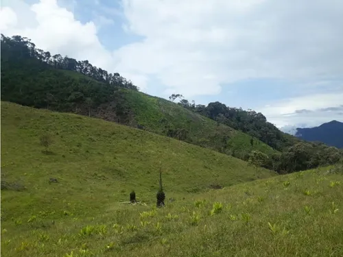 Vendo Fk 400 Cuadras Aptas Para Hass Pueblo Rico (risaralda)