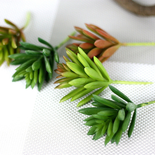 Cacto Suculento De Plástico Artificial Echeveria Flower Home