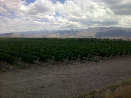 Imagen 6 de 10 de 42.6 Ha, Altamira