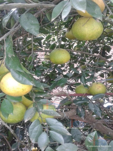 Imagem 7 de 15 de Ref.: 5531 - Chacaras Em Mairinque Para Venda - V5531