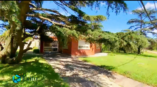 Vendo Chalet Esquinero Padrón De 750m2 Mucho Verde, Ideal Descanso, Vivienda, Empresas. Excelente Ubicación 5 De Rambla Shangrilá