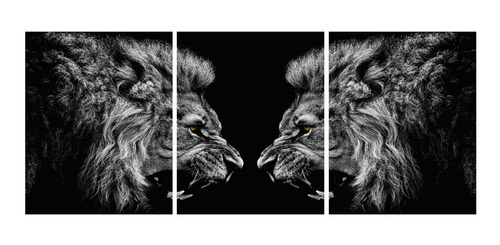Imagem 2 de 4 de Conjunto De Quadros - Leão Frente A Frente Vinil